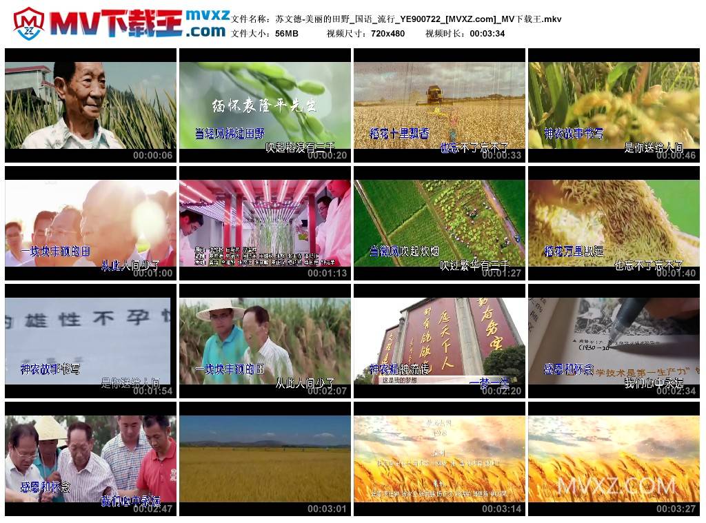 苏文德-美丽的田野_国语_流行_YE900722